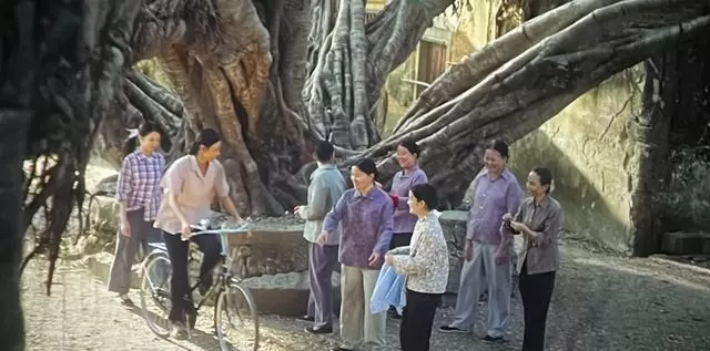 《给阿嬷的情书》定档暑期，李兰颂诗作成影片叙事内核 相关图片