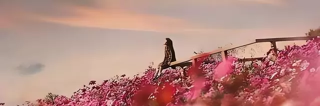 苏念公开揭林晚晚冒名顶替事件，霍明轩新片《星途》遭全面撤档 相关图片