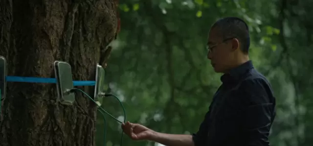 梁朝伟主演《寂静的朋友》定档柏林电影节，三时空叙事聚焦银杏树下的人类共情 现场图