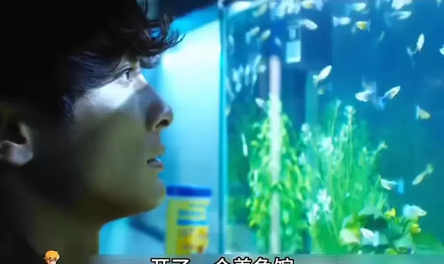 网剧《偷窥者》上线引争议,内容涉非法偷拍与家暴呈现 细节速览 网剧《偷窥者》上线引争议,内容涉非法偷拍与家暴呈现 细节速览